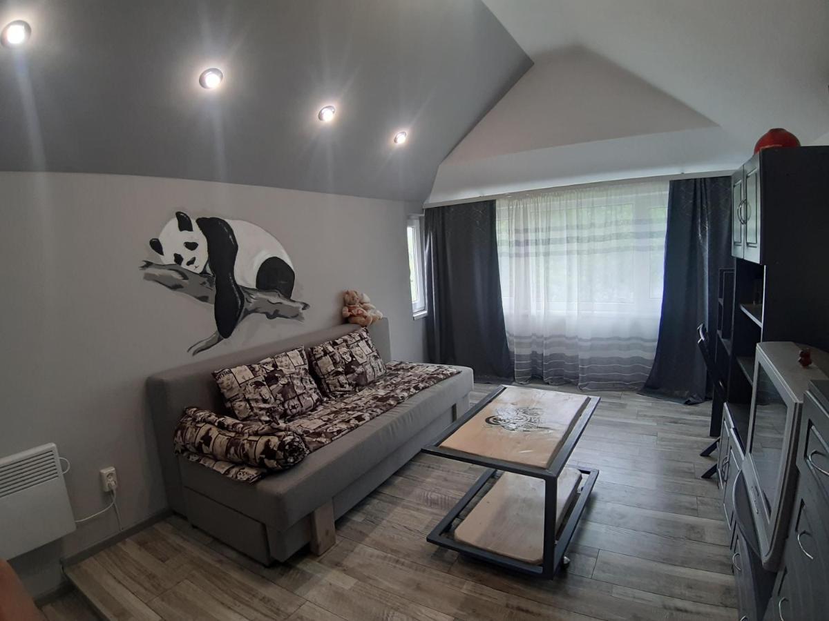 Ferienwohnung Barlig Jaremtsche Exterior foto